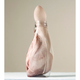 Illustration for article titled Photographs Of Meat Stuffed In Plastic Bottles Evoke Fleshy Horrors